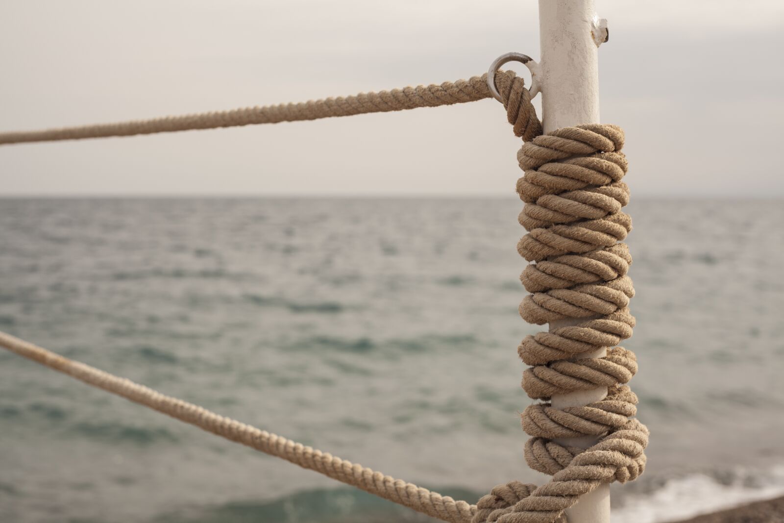 Canon EF 50mm F1.8 II sample photo. Rope, marine, macro photography