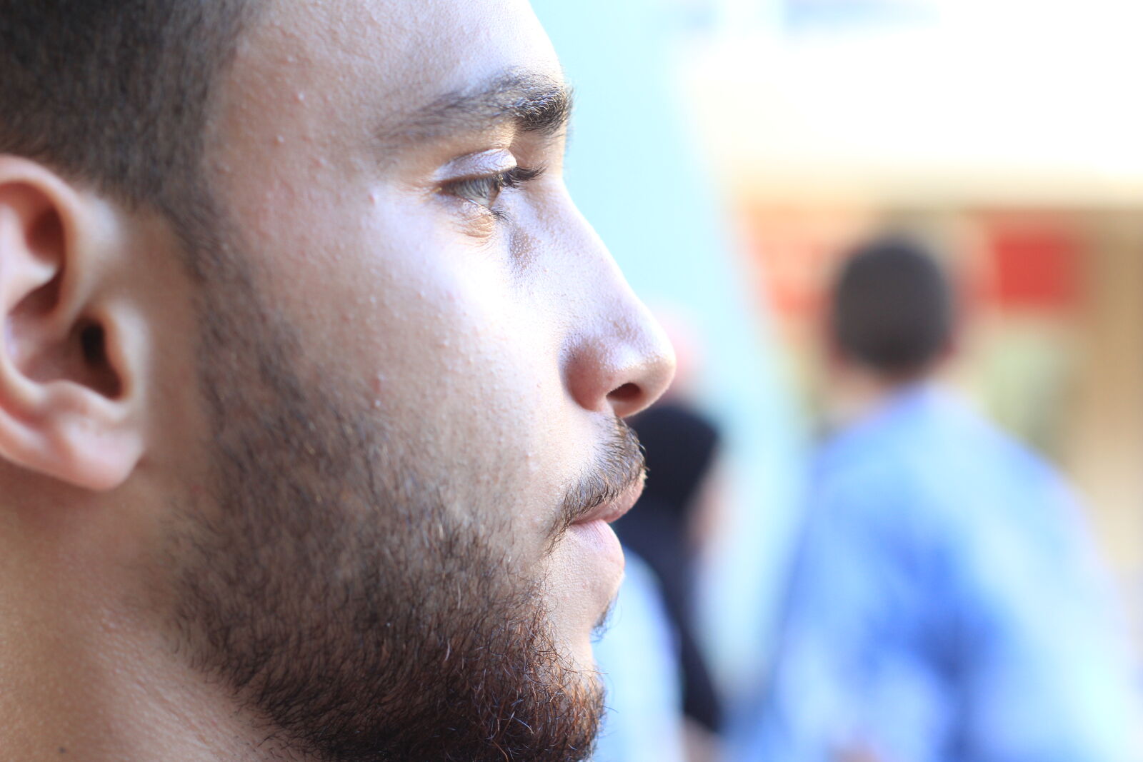 Canon EOS 60D + Canon EF 50mm F1.8 II sample photo