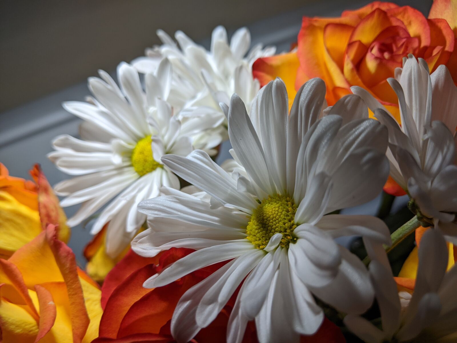 Google Pixel 2 XL sample photo. Flowers, orange, white photography