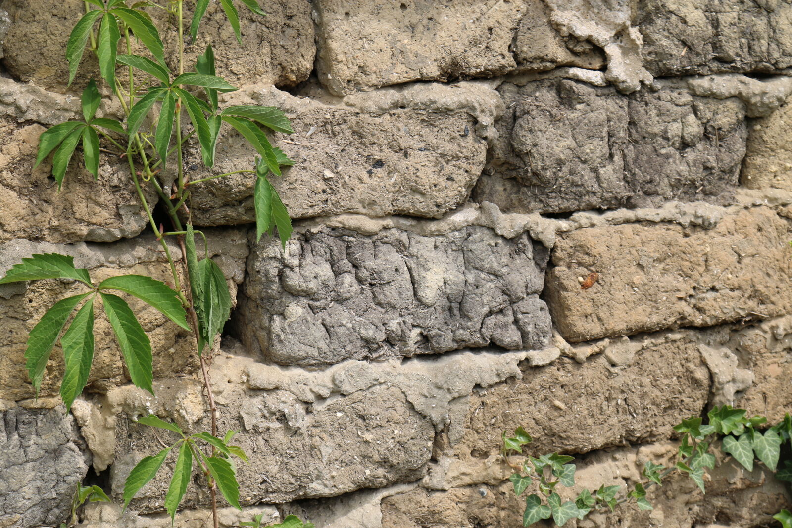 Canon EOS 70D sample photo. Brick, green, leaf, old photography