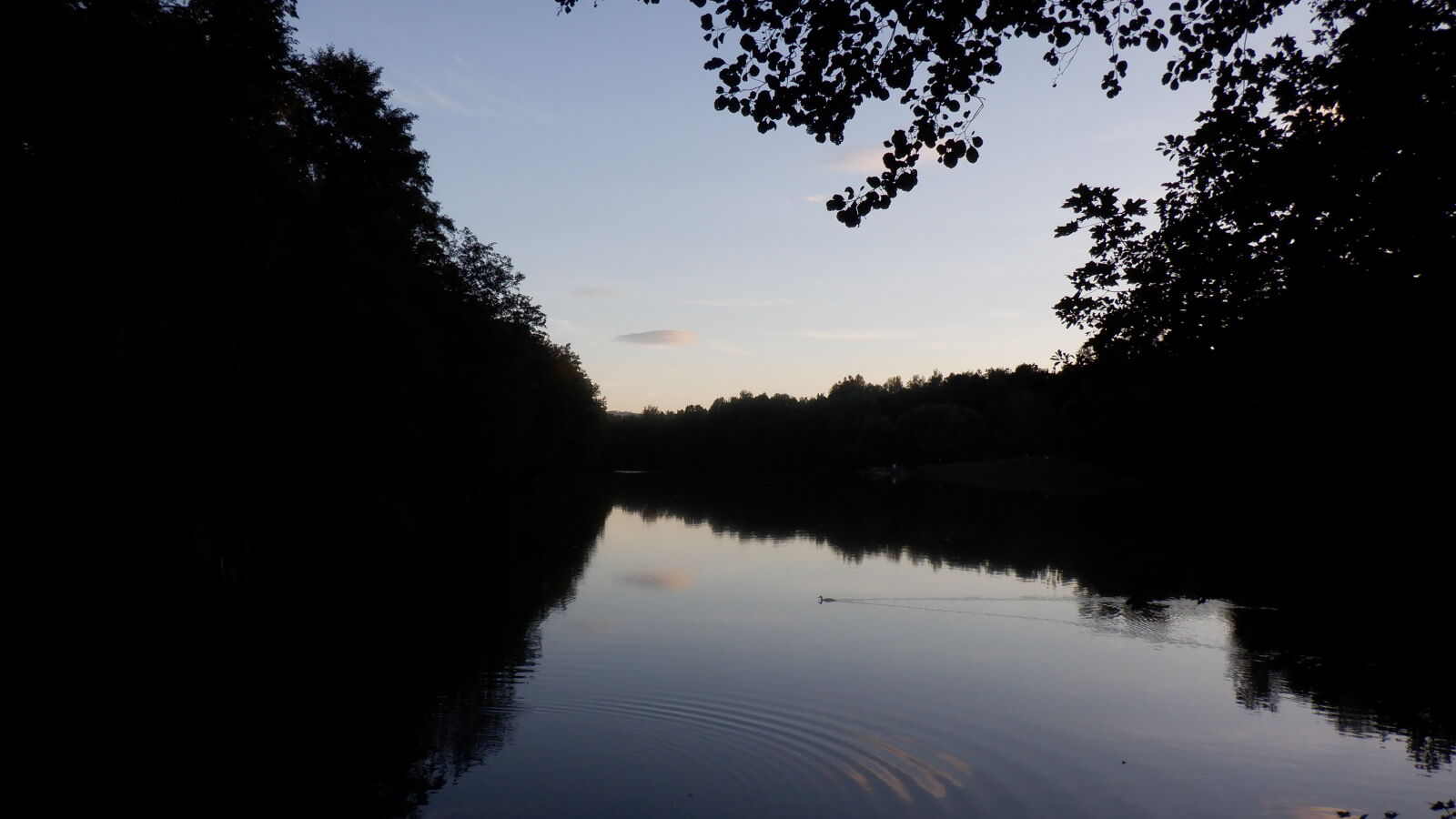Fujifilm FinePix XP140 sample photo. Beautiful pond photography