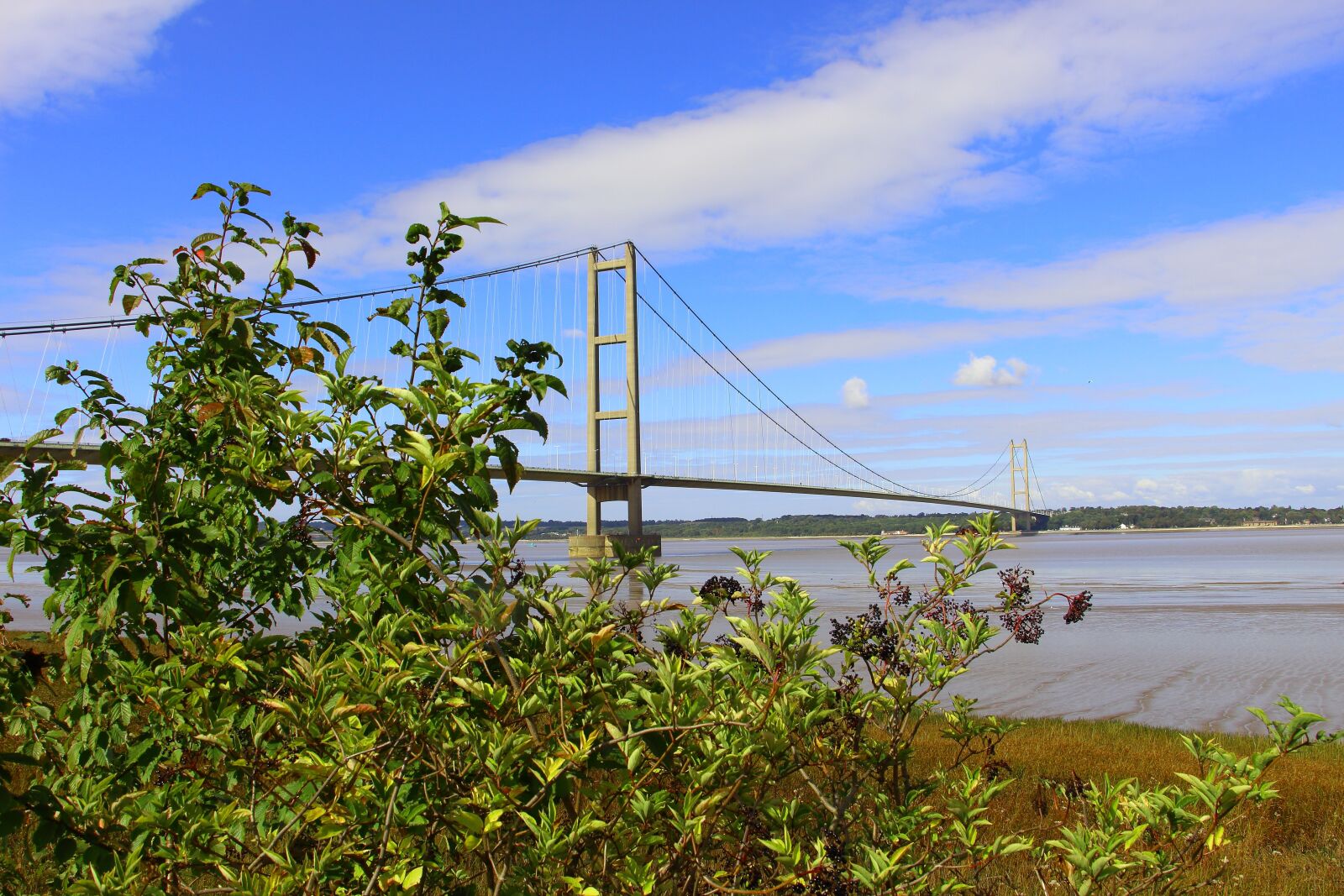 Canon EOS 700D (EOS Rebel T5i / EOS Kiss X7i) sample photo. Bridge, humber, suspension photography