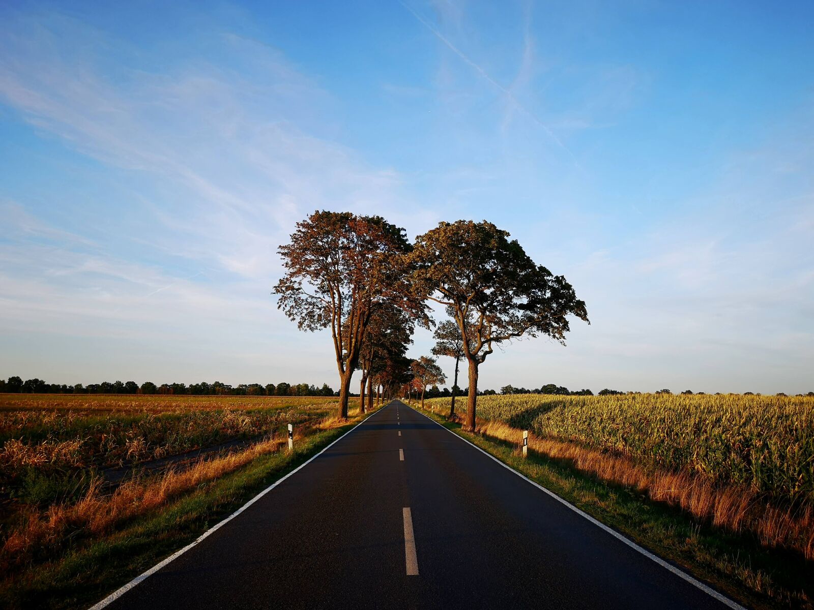 HUAWEI CLT-L29 sample photo. Road, summer, away photography