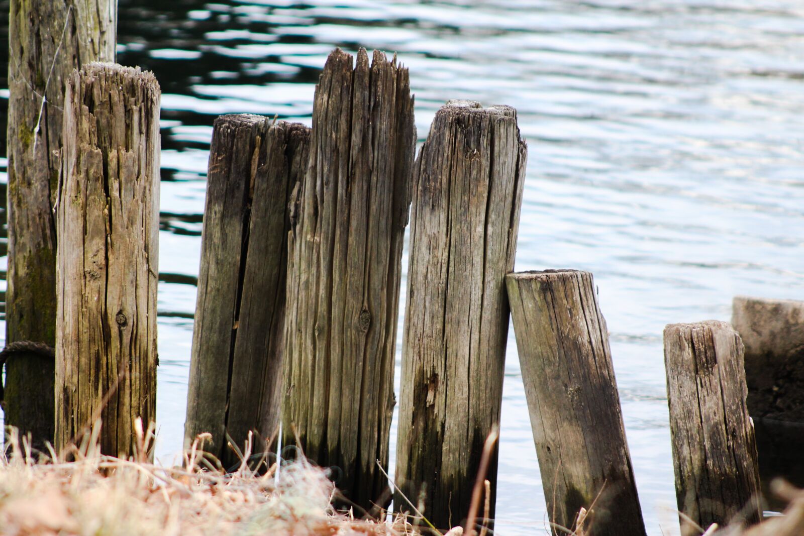 Canon EOS 1200D (EOS Rebel T5 / EOS Kiss X70 / EOS Hi) + EF75-300mm f/4-5.6 sample photo. Lake, landscape, water photography