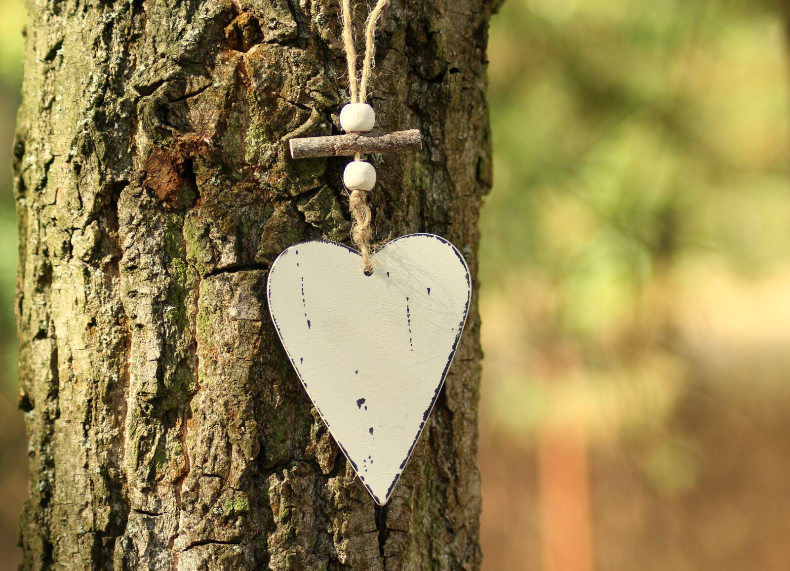 Canon EOS 1200D (EOS Rebel T5 / EOS Kiss X70 / EOS Hi) sample photo. Heart, symbol, emotions photography