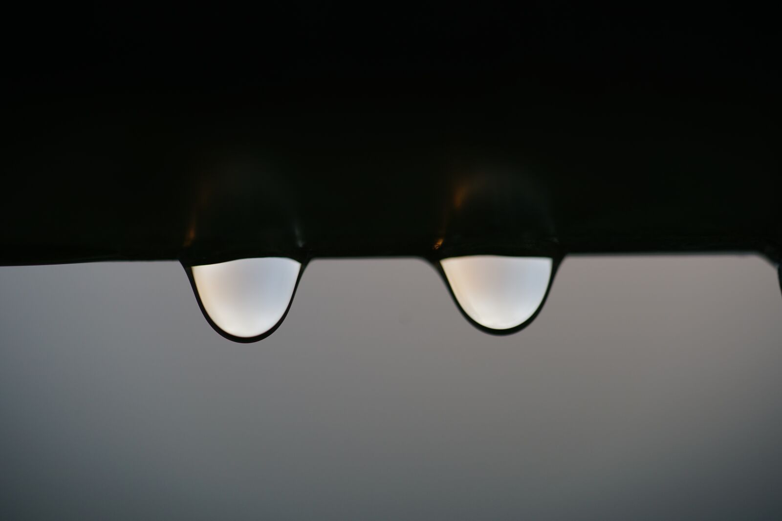Sony a7R II + Sony FE 90mm F2.8 Macro G OSS sample photo. Drip, raindrop, water photography