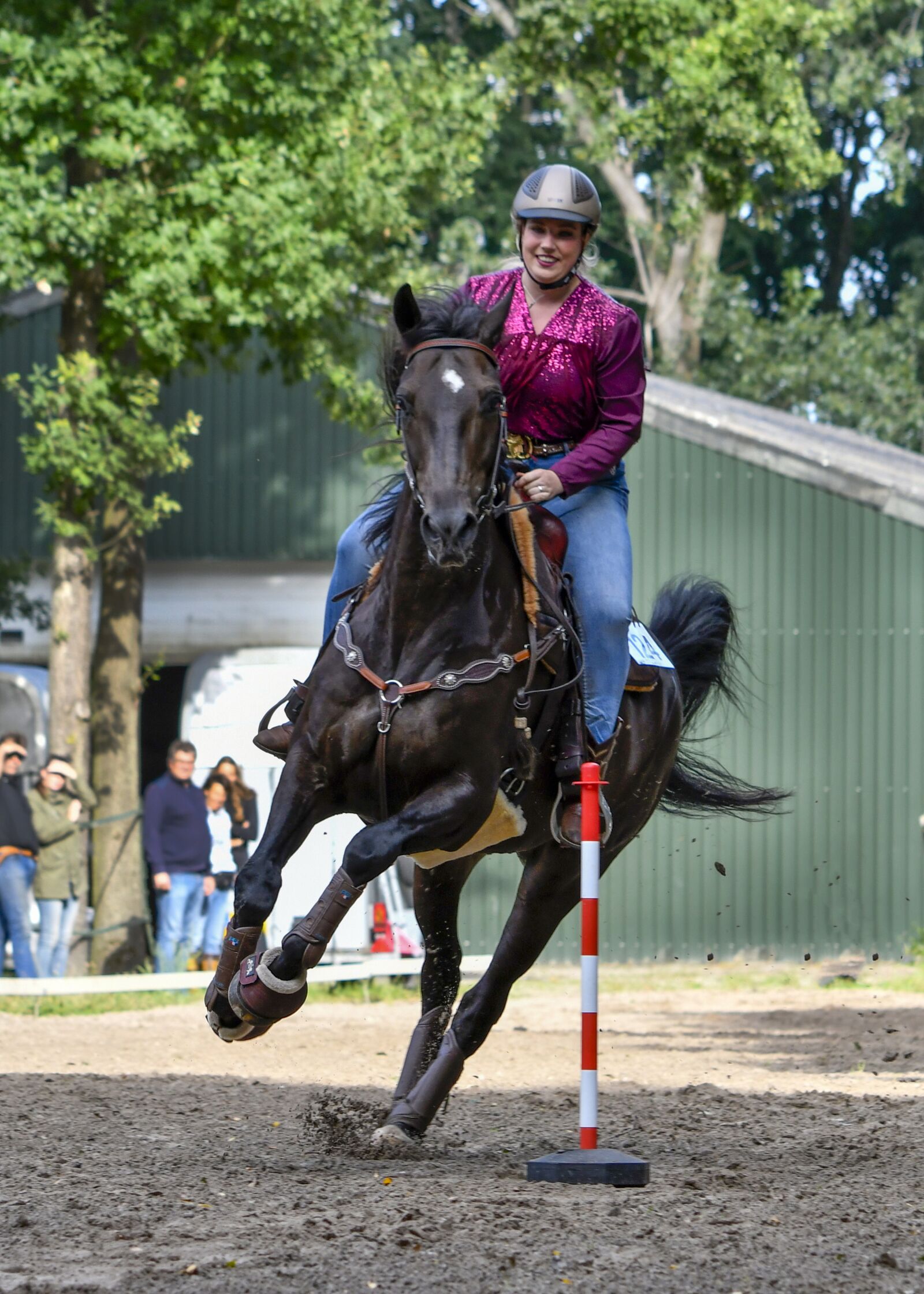 Nikon D500 sample photo. Horse, equine, equestrienne photography