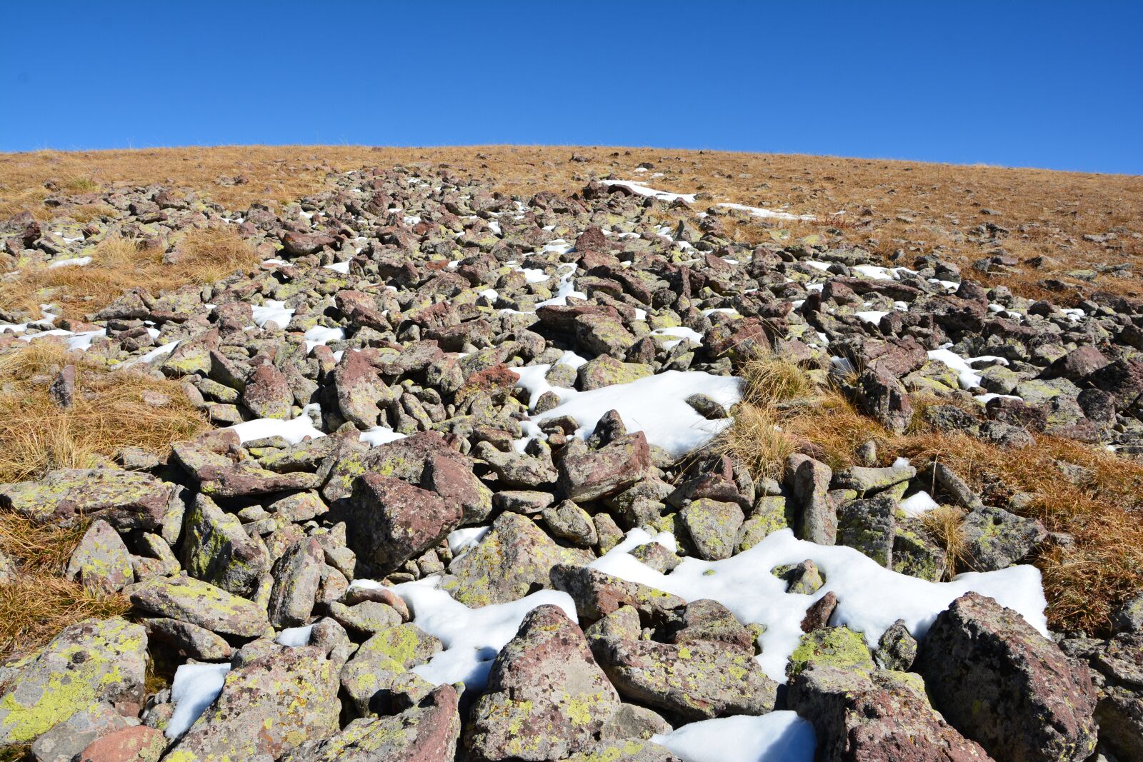 Nikon D7100 sample photo. Nature, snow, landscape photography