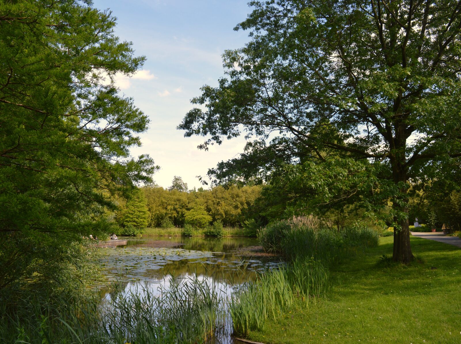 Nikon D3200 sample photo. Botanical garden, hamburg, park photography