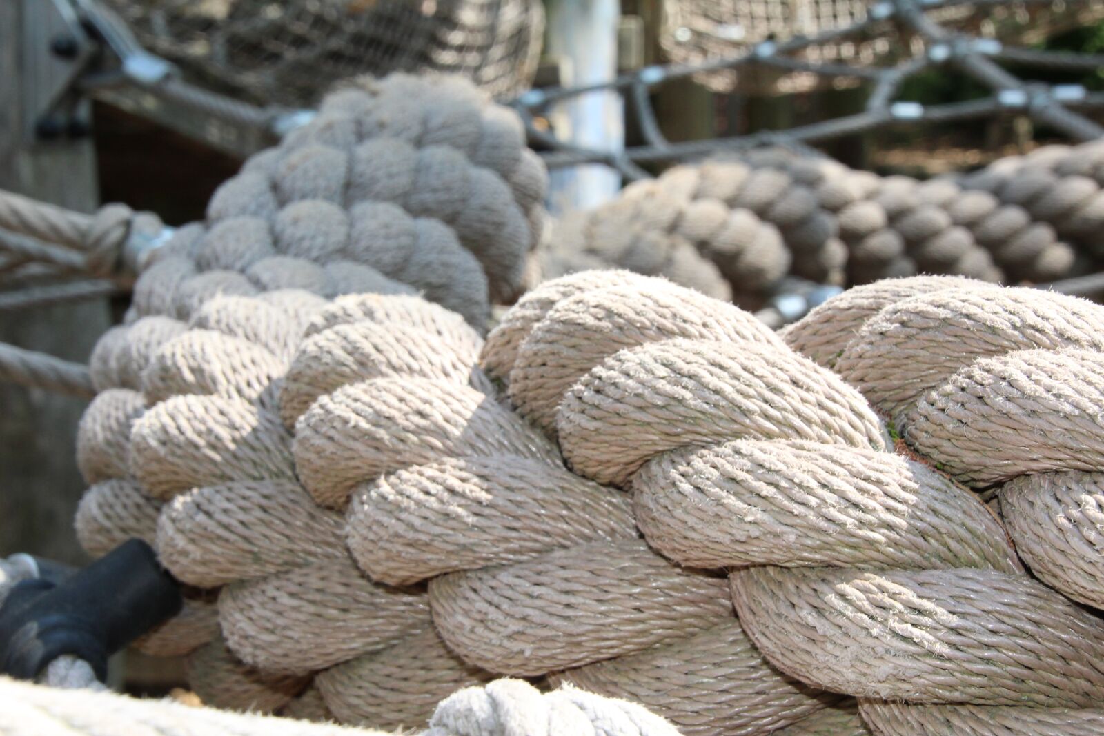 Canon EOS 1200D (EOS Rebel T5 / EOS Kiss X70 / EOS Hi) sample photo. Dew, rope, fixing photography