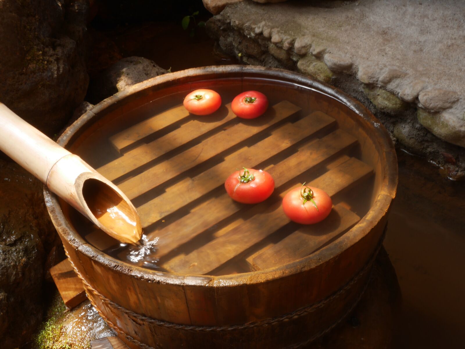 Panasonic Lumix DMC-GX7 sample photo. Tomato, tub, summer photography