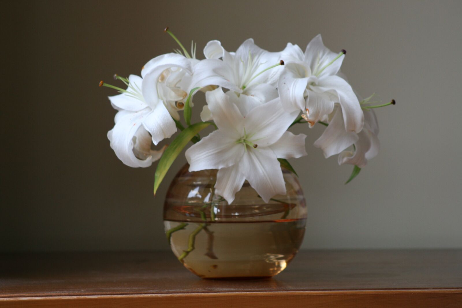 Canon EOS 20D sample photo. Flower, lilies, bowl photography