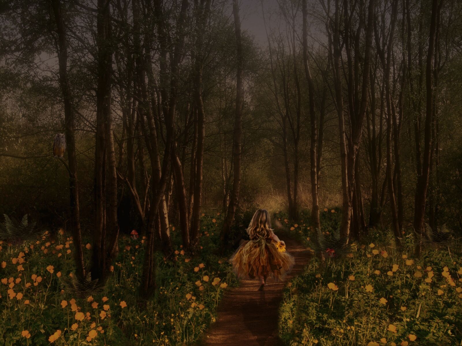 Panasonic Lumix DMC-FZ200 sample photo. Fairy tales, child, forest photography