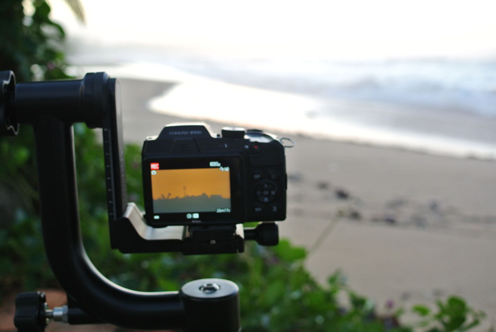 Nikon 1 J1 sample photo
