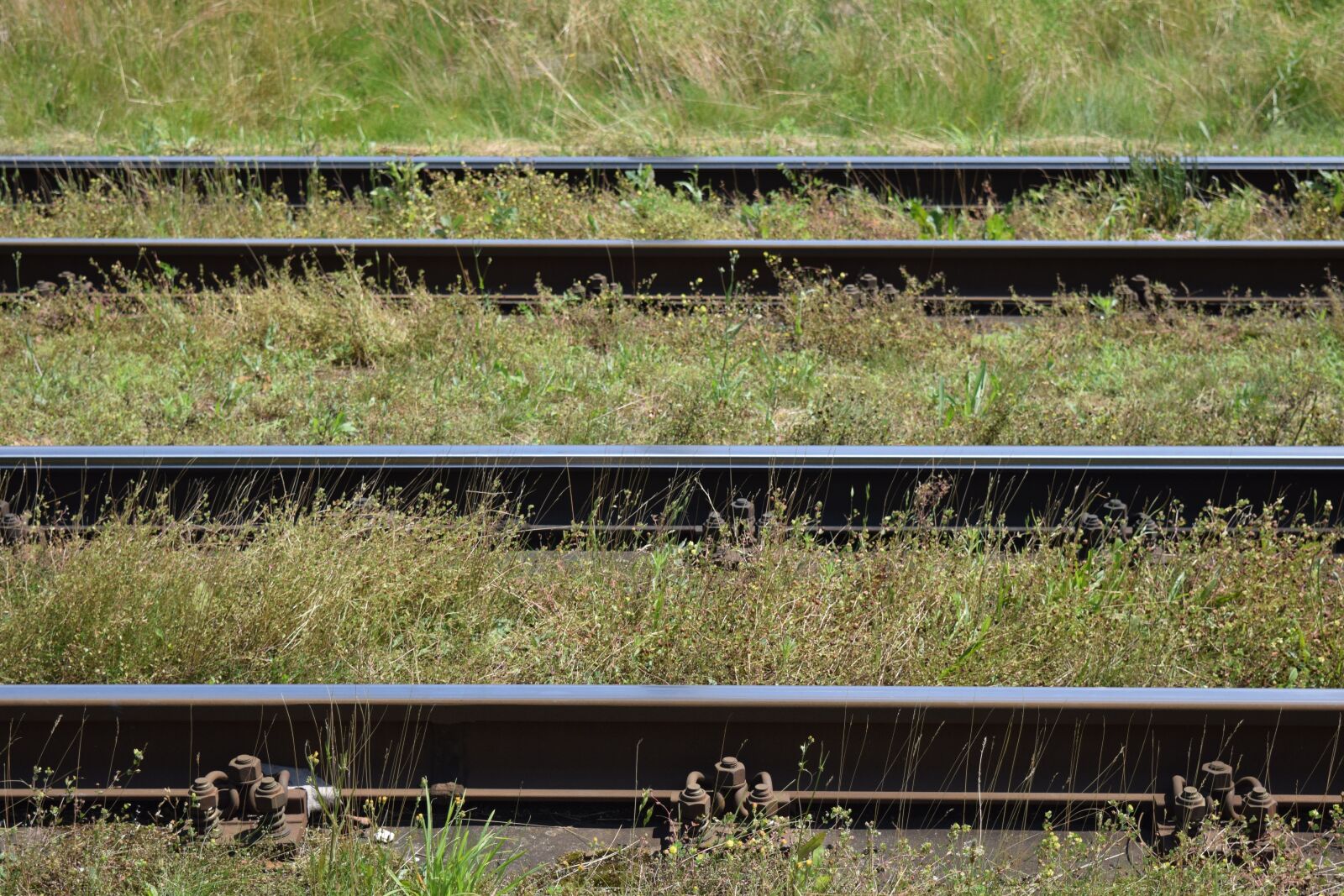 Nikon D3300 sample photo. Gleise, railway tracks, parallel photography