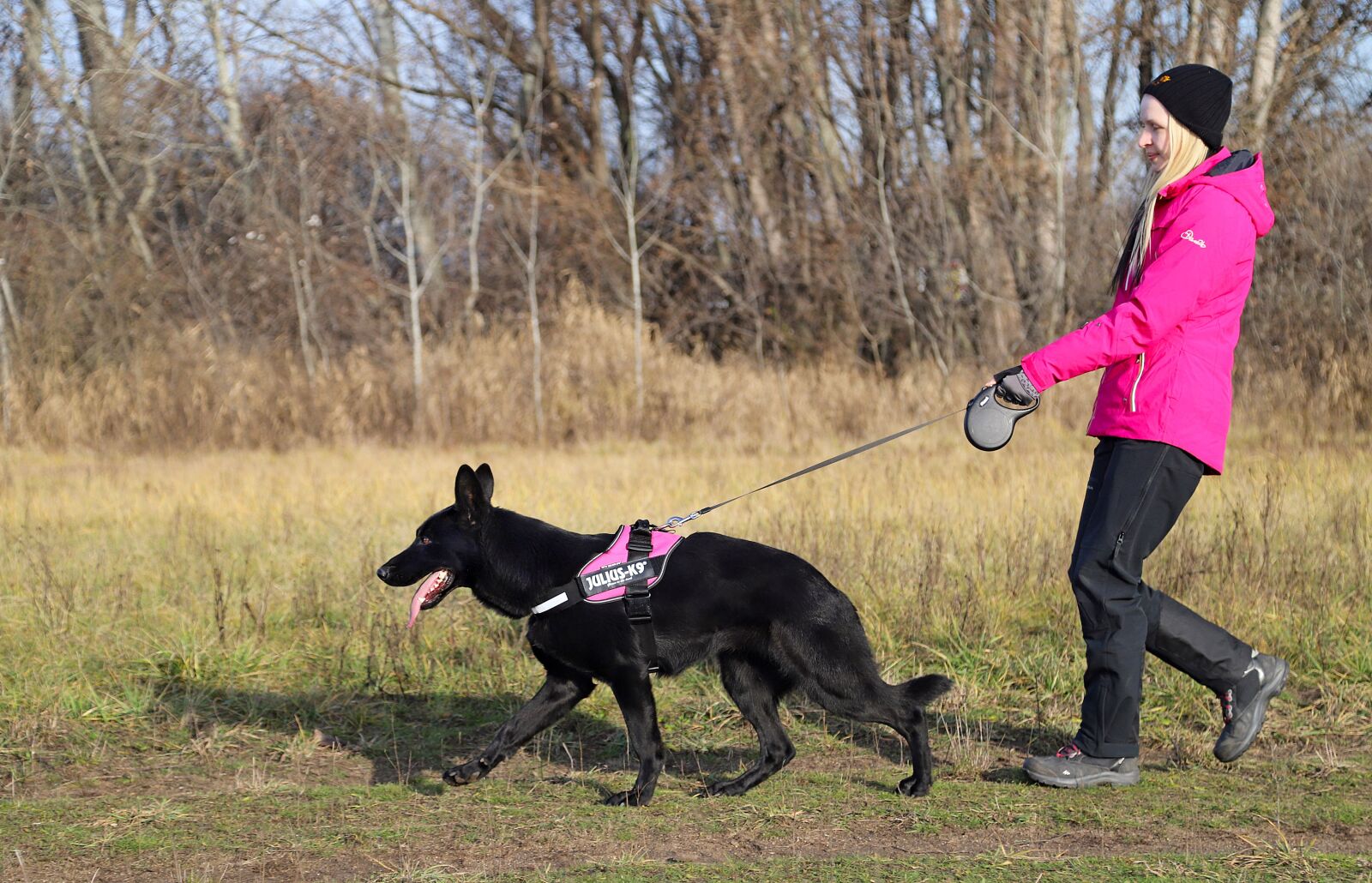 Canon EOS 6D Mark II sample photo. Black german shepherd, dog photography