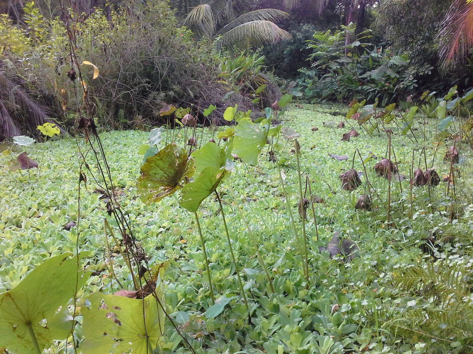 Samsung Galaxy Note 10.1 sample photo