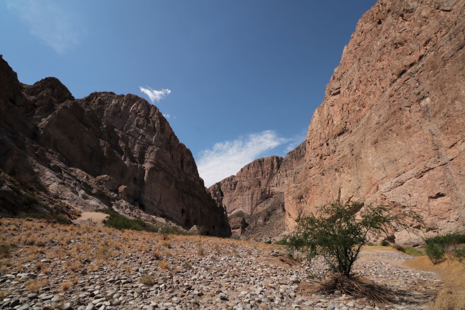 Canon EOS 750D (EOS Rebel T6i / EOS Kiss X8i) sample photo. Big, bend, national photography