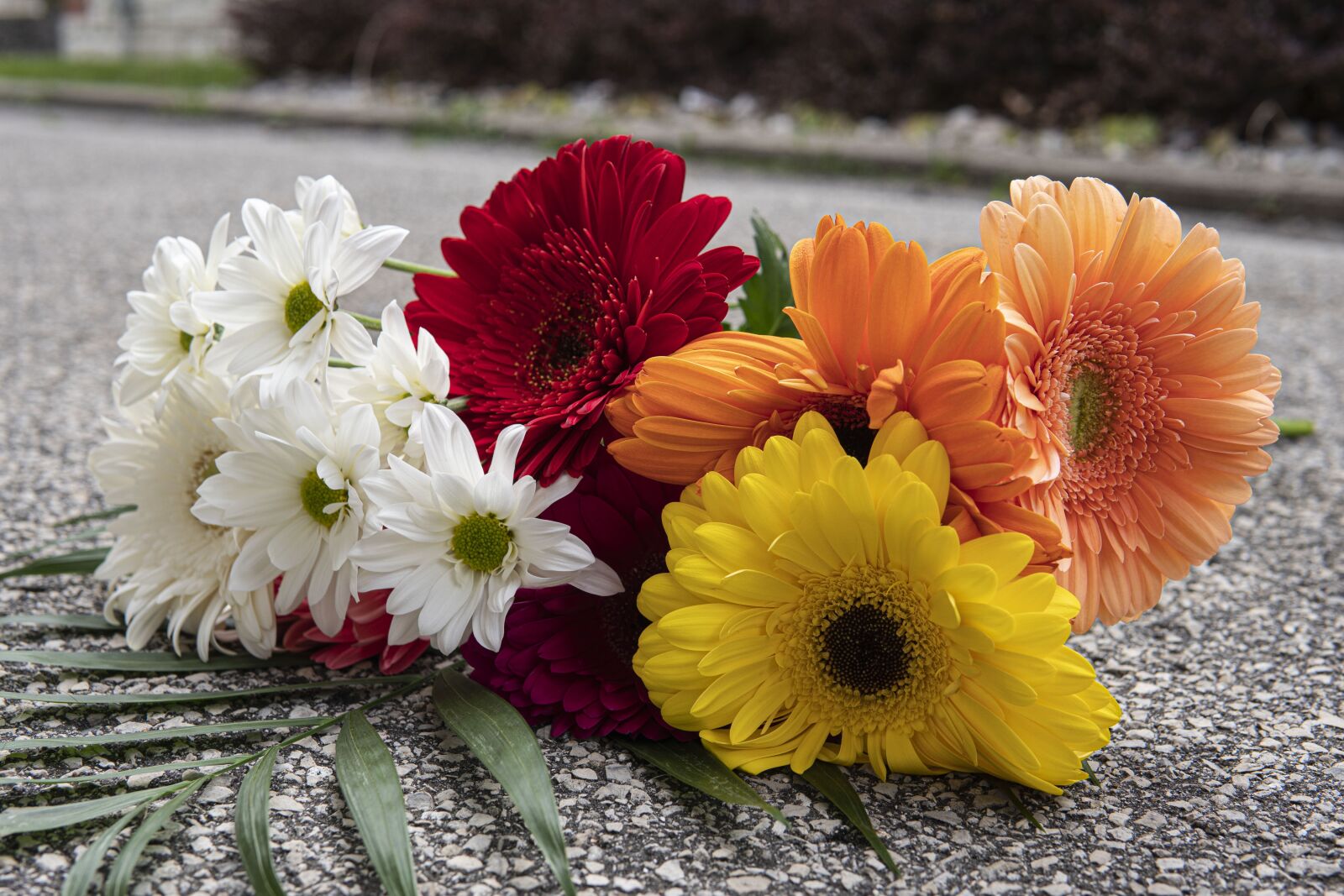 30mm F1.4 DC DN | Contemporary 016 sample photo. Flowers, bouquet, petals photography