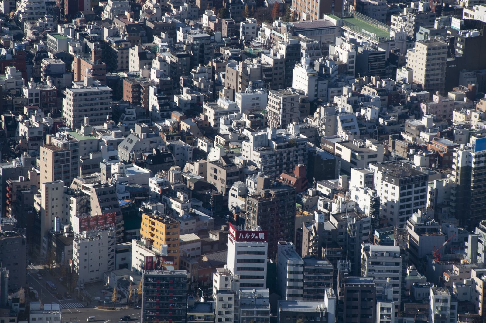 Nikon D5000 sample photo. Tokyo, japan, city photography