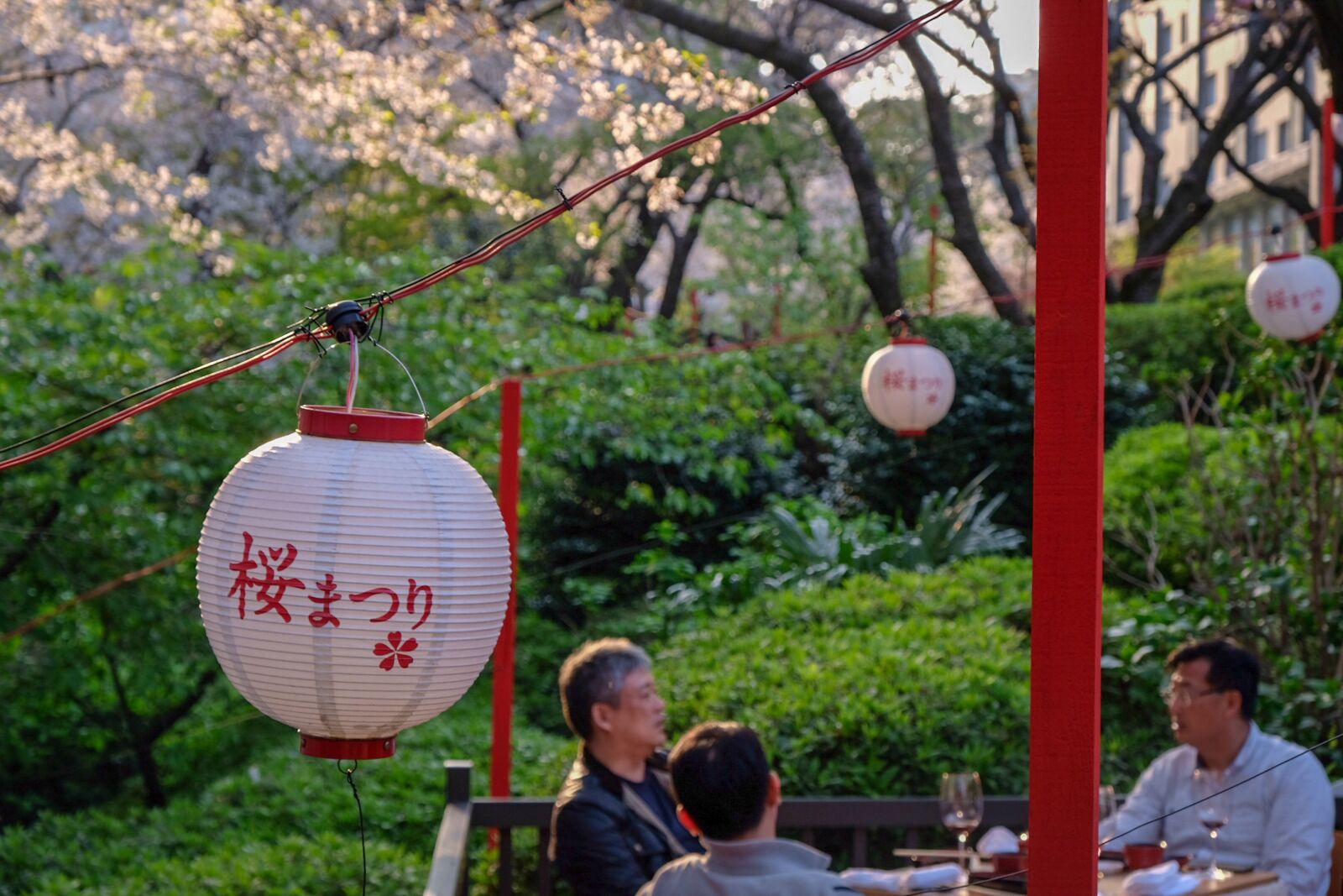 Fujifilm X-T20 sample photo. Cherrryblossom, are, spring photography
