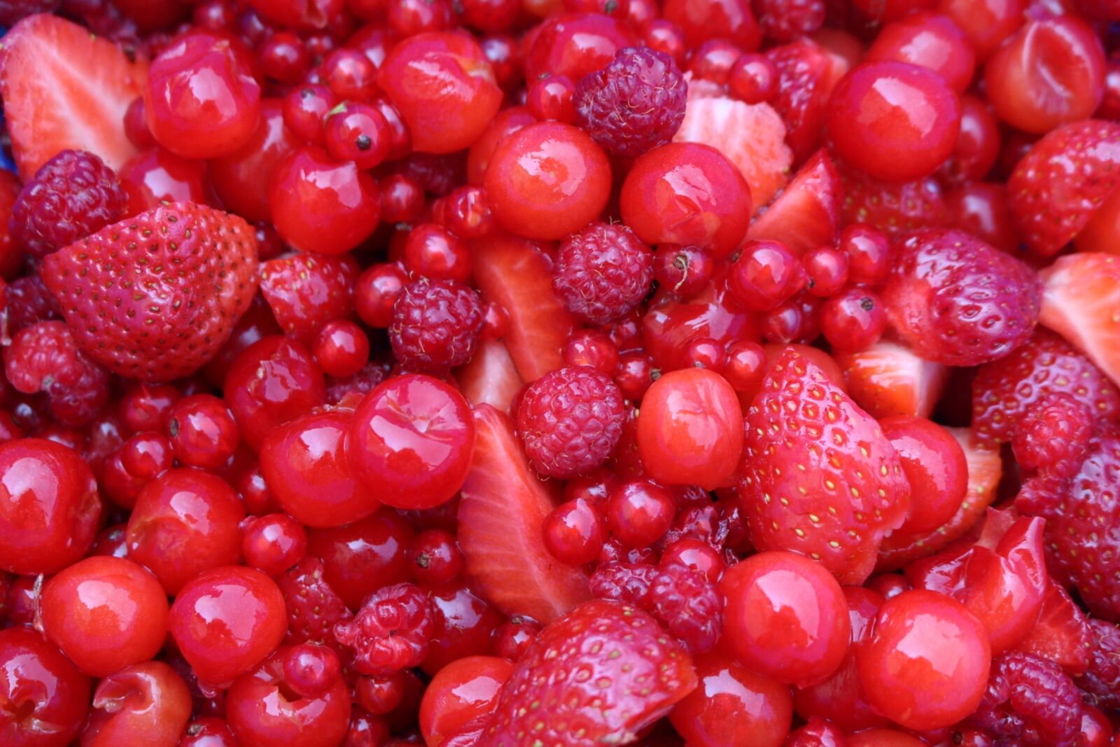 Canon EOS 750D (EOS Rebel T6i / EOS Kiss X8i) sample photo. Berries, red, summer photography