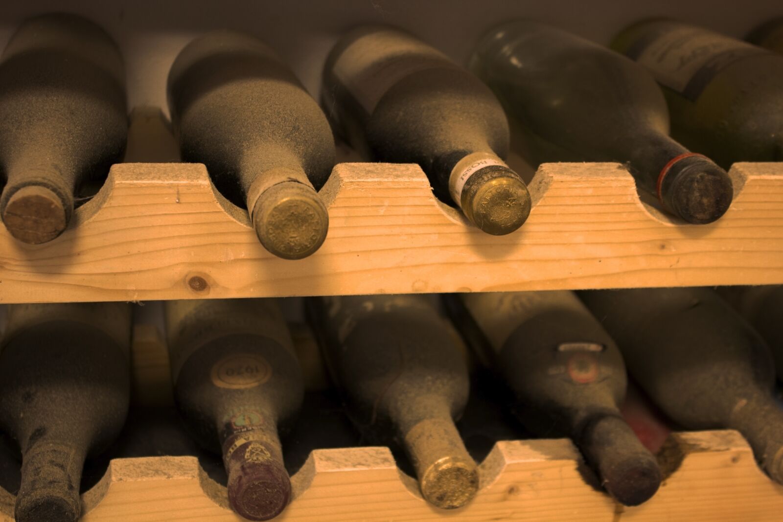 Canon EF-S 18-55mm F3.5-5.6 IS sample photo. Cellar, bottles, wine photography