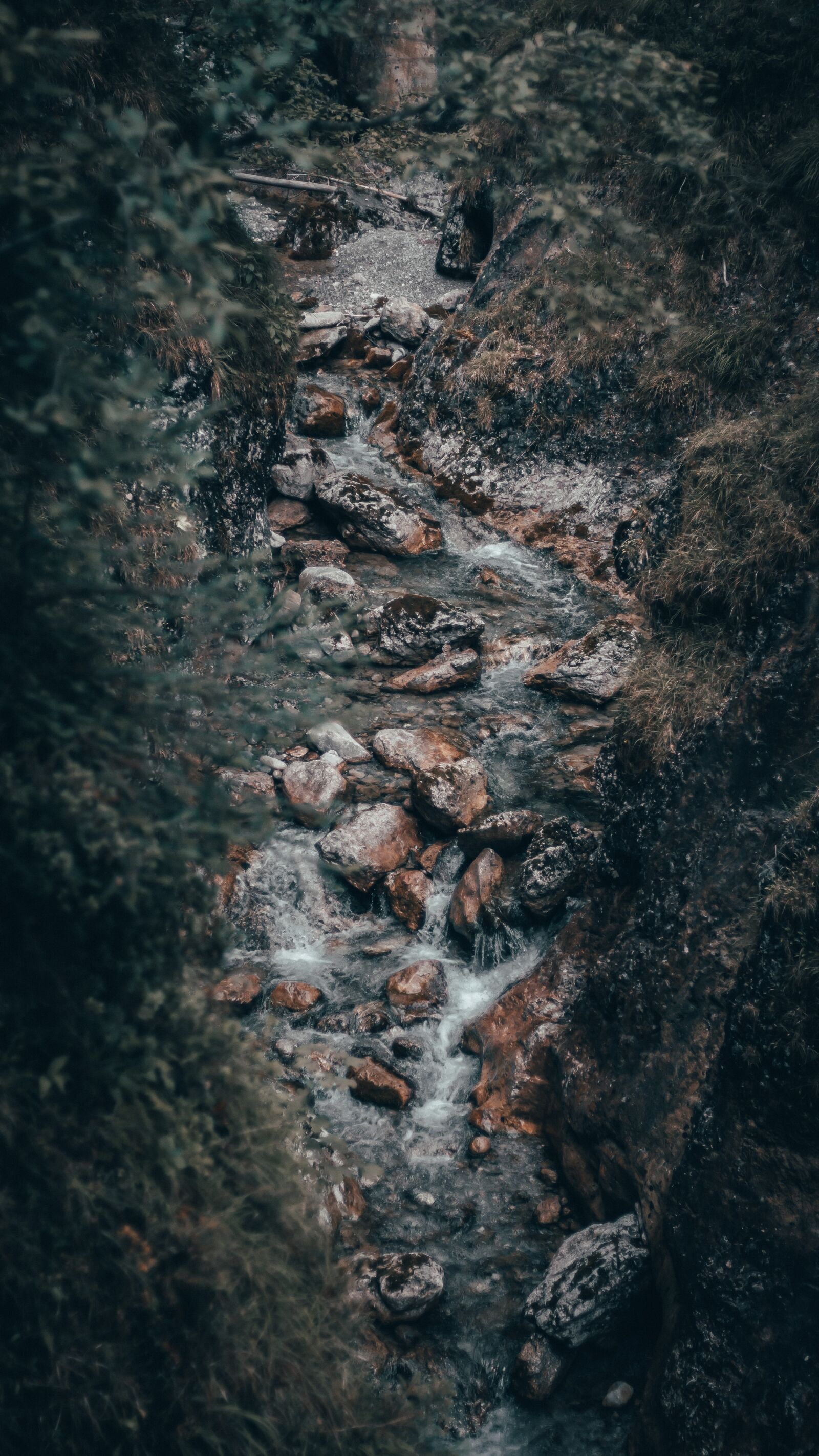 Canon EOS 700D (EOS Rebel T5i / EOS Kiss X7i) + Canon EF 50mm F1.8 STM sample photo. Landscape, nature, forest photography