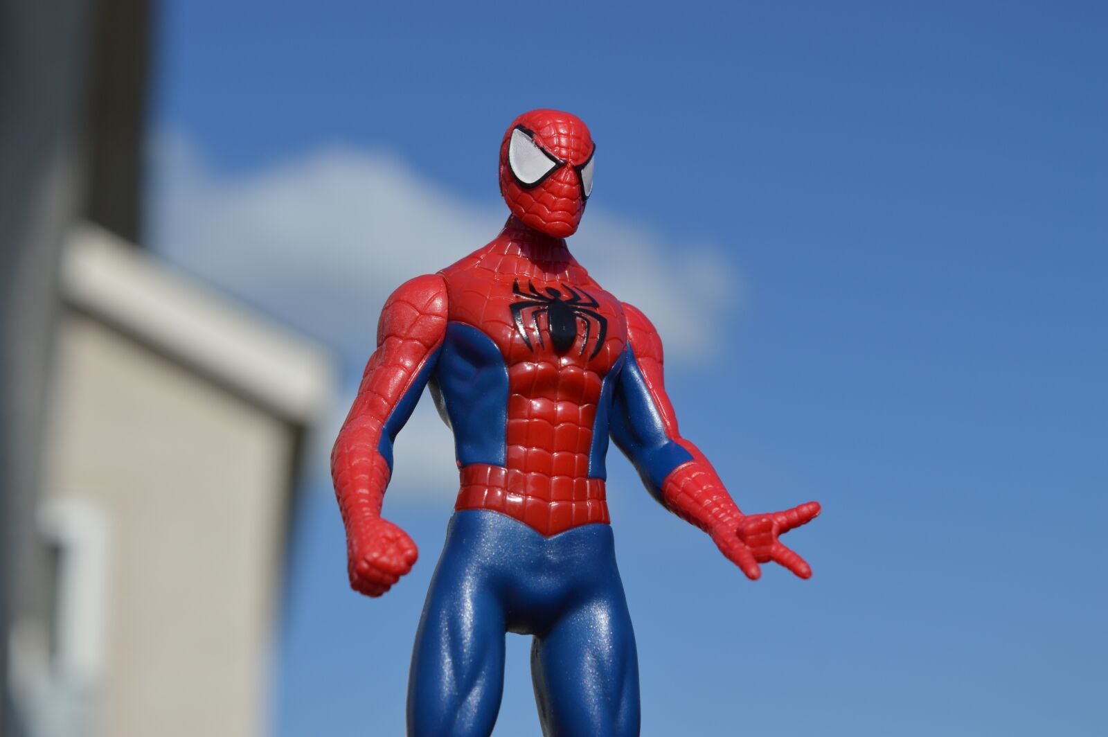 Nikon D3200 sample photo. Spiderman, superhero, hero photography