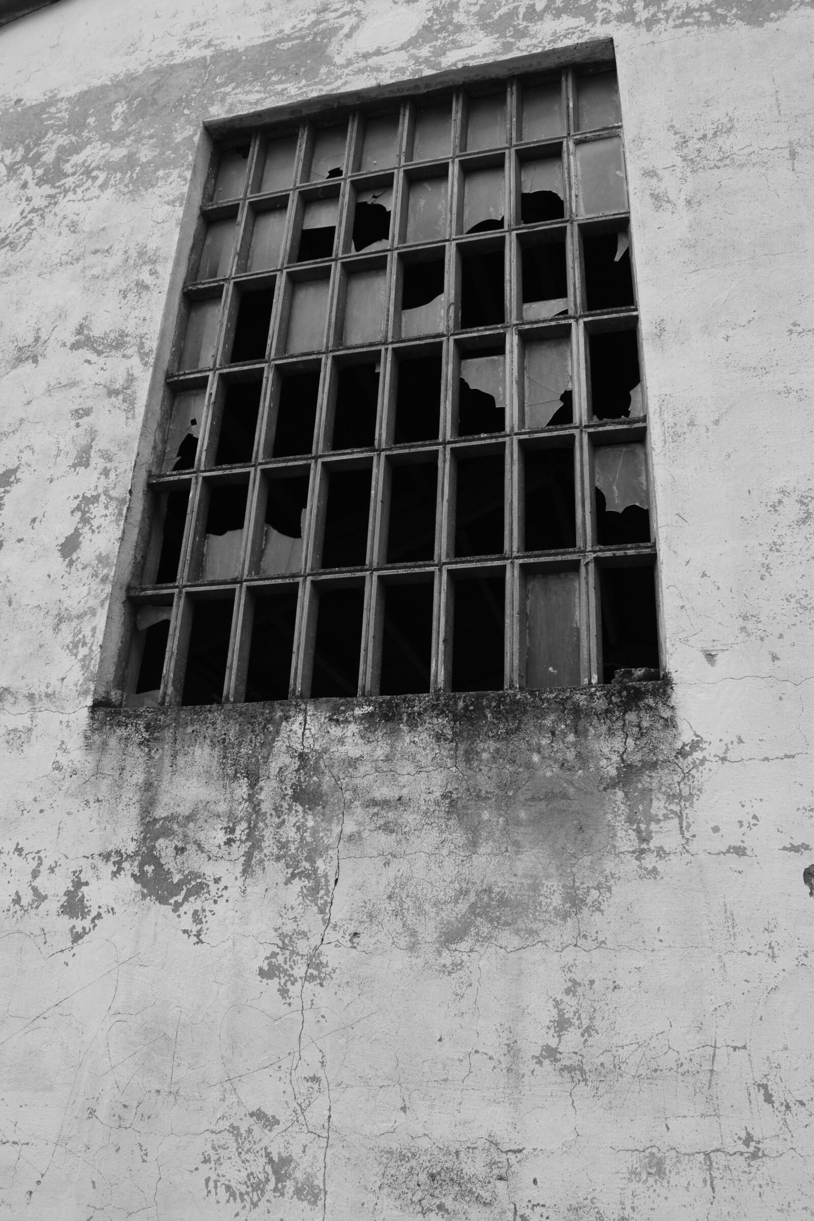 Nikon D3300 sample photo. Windows, manufactures, ruin photography