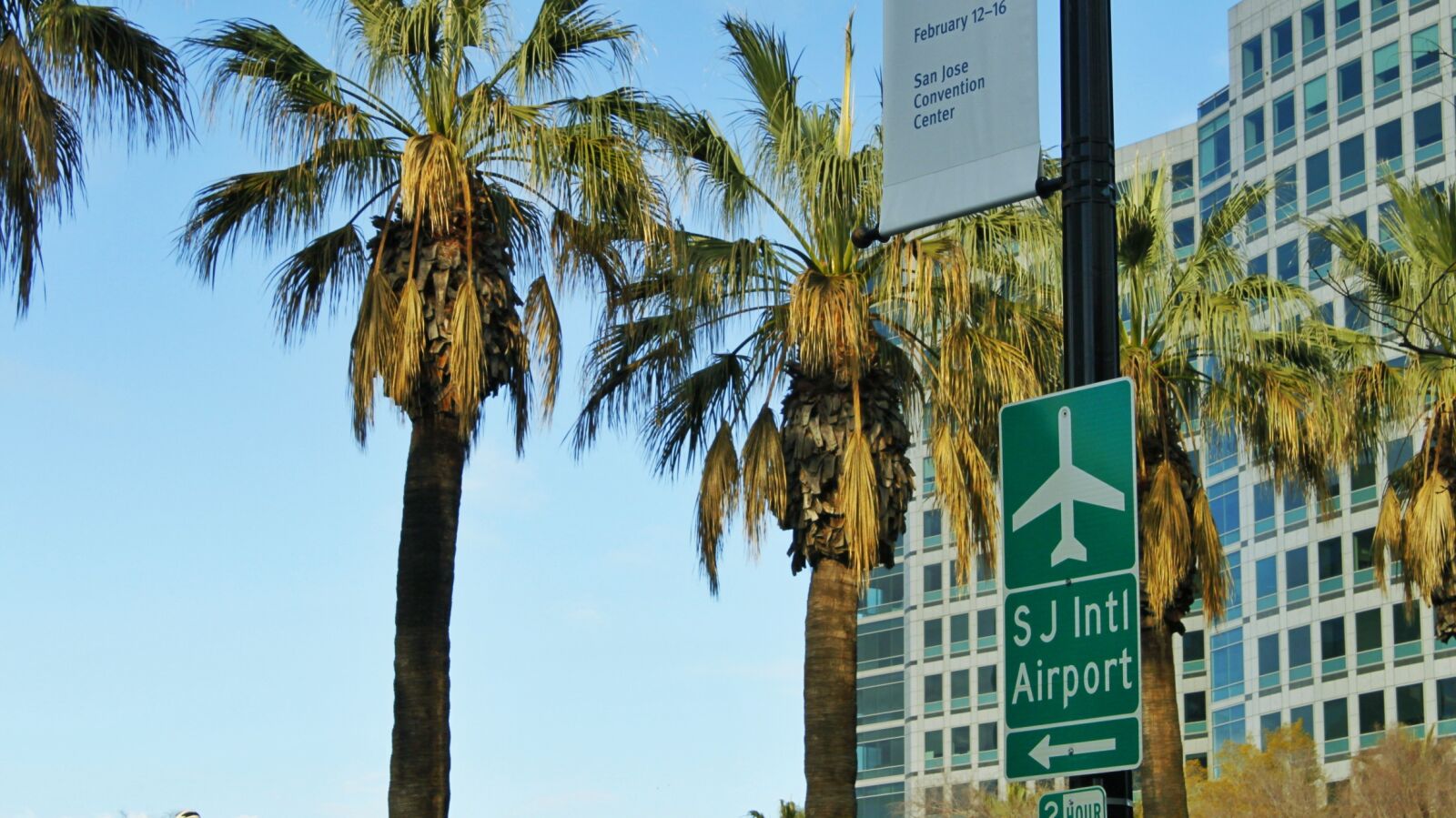 Canon EOS 500D (EOS Rebel T1i / EOS Kiss X3) sample photo. Airport, palm, tree, street photography