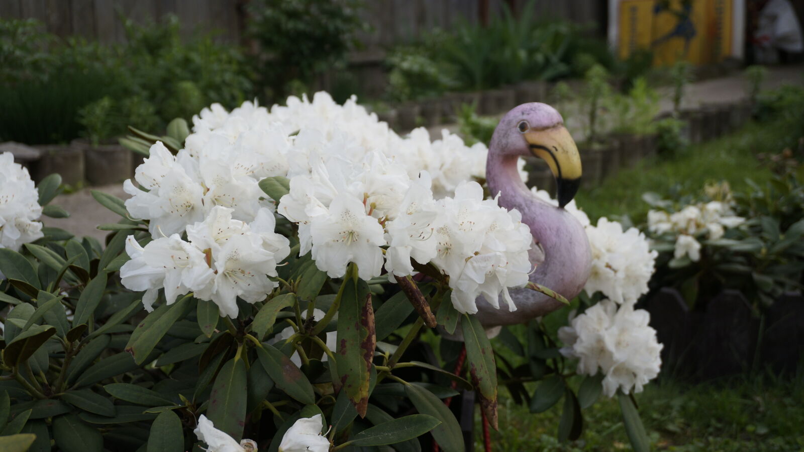 Sony Alpha NEX-5T sample photo