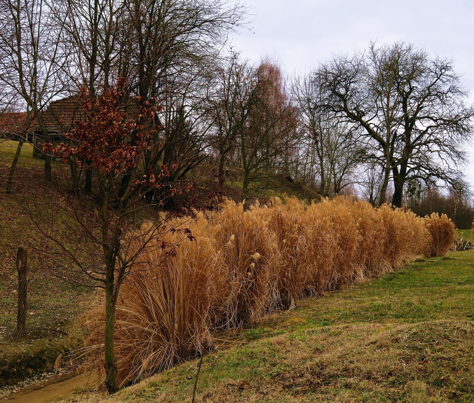 Canon PowerShot SX720 HS sample photo. Nature, landscape, hill photography