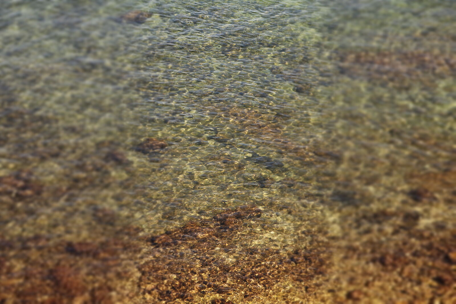 Canon EOS 750D (EOS Rebel T6i / EOS Kiss X8i) sample photo. Green, water photography
