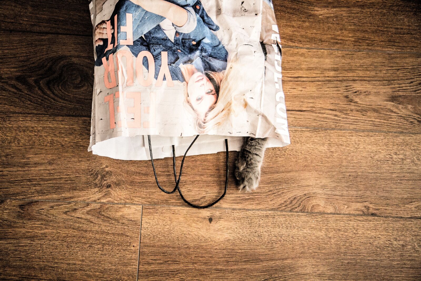 Canon EOS 7D sample photo. Minimalism, cat, home photography