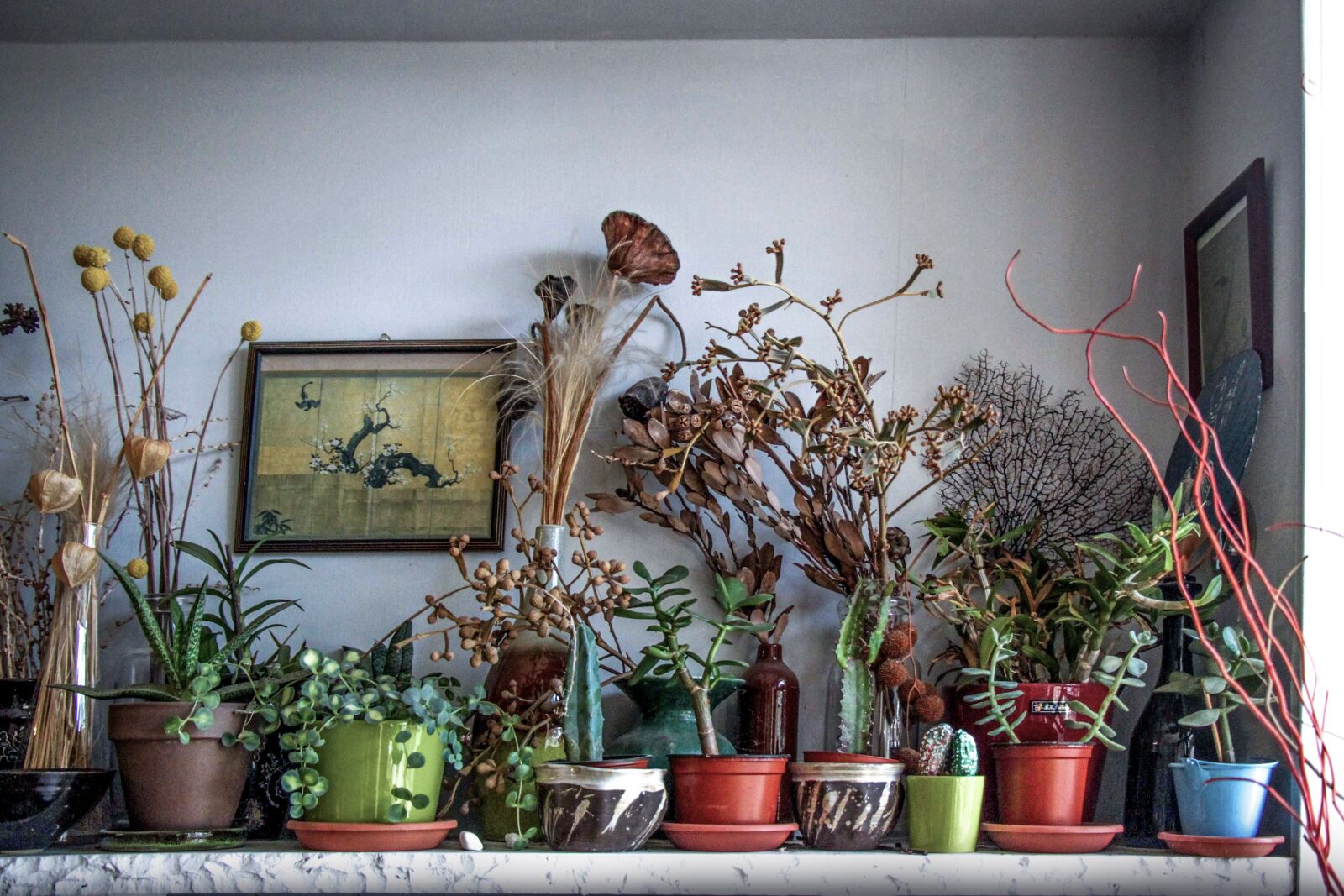 Canon EOS 500D (EOS Rebel T1i / EOS Kiss X3) sample photo. Still life, indoors, flowers photography