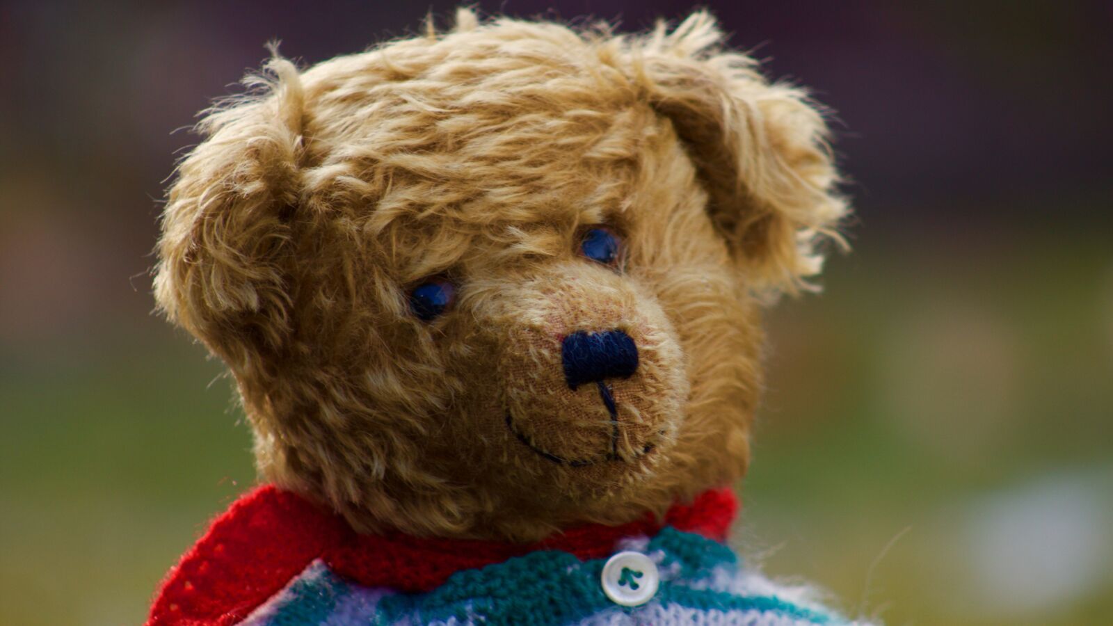 Canon EOS 450D (EOS Rebel XSi / EOS Kiss X2) sample photo. Teddy, toys, teddy bear photography