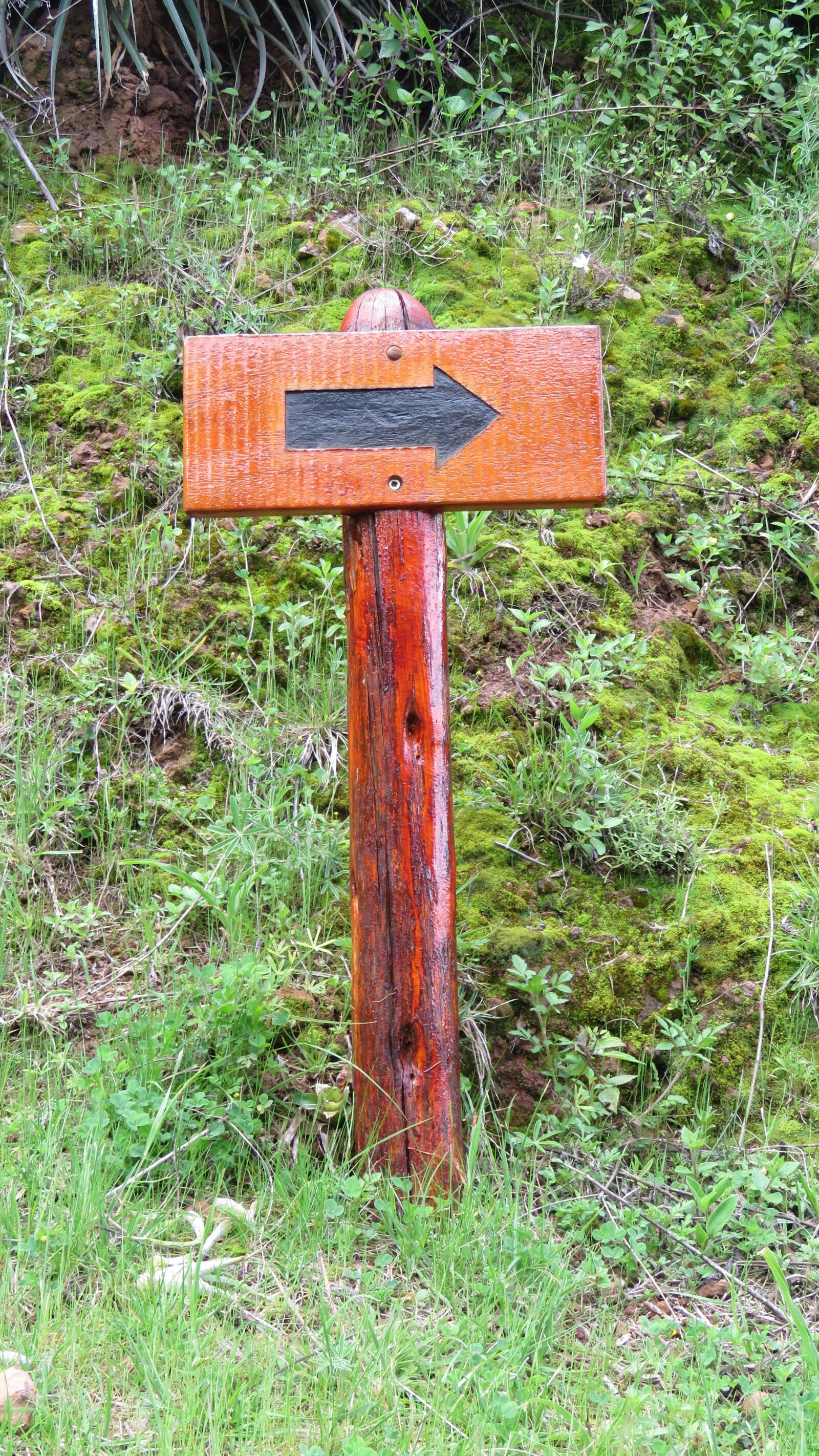 Canon PowerShot SX60 HS sample photo. Sign, address, arrow photography