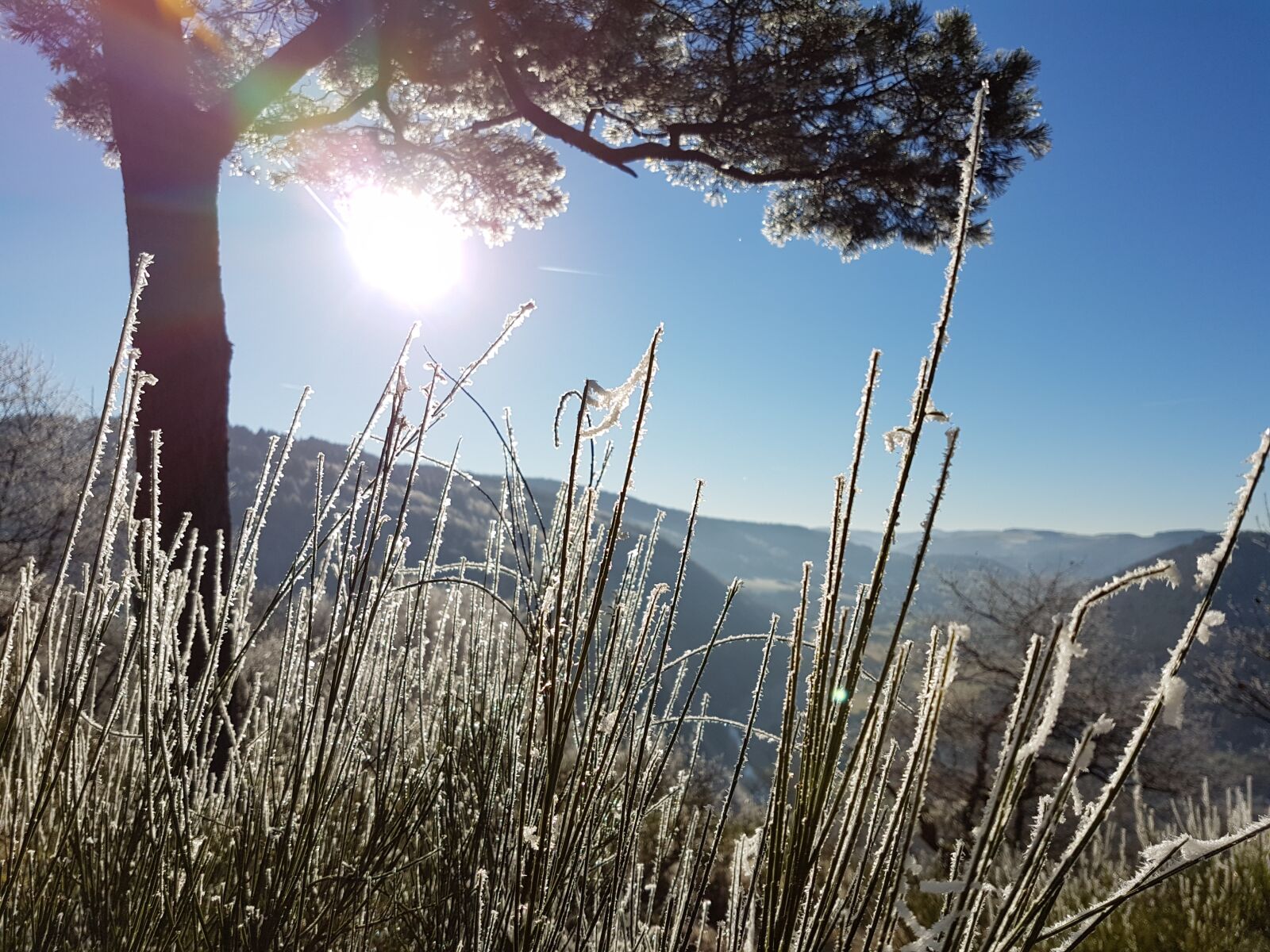 Samsung Galaxy S7 sample photo. Frost, eifel, winter photography