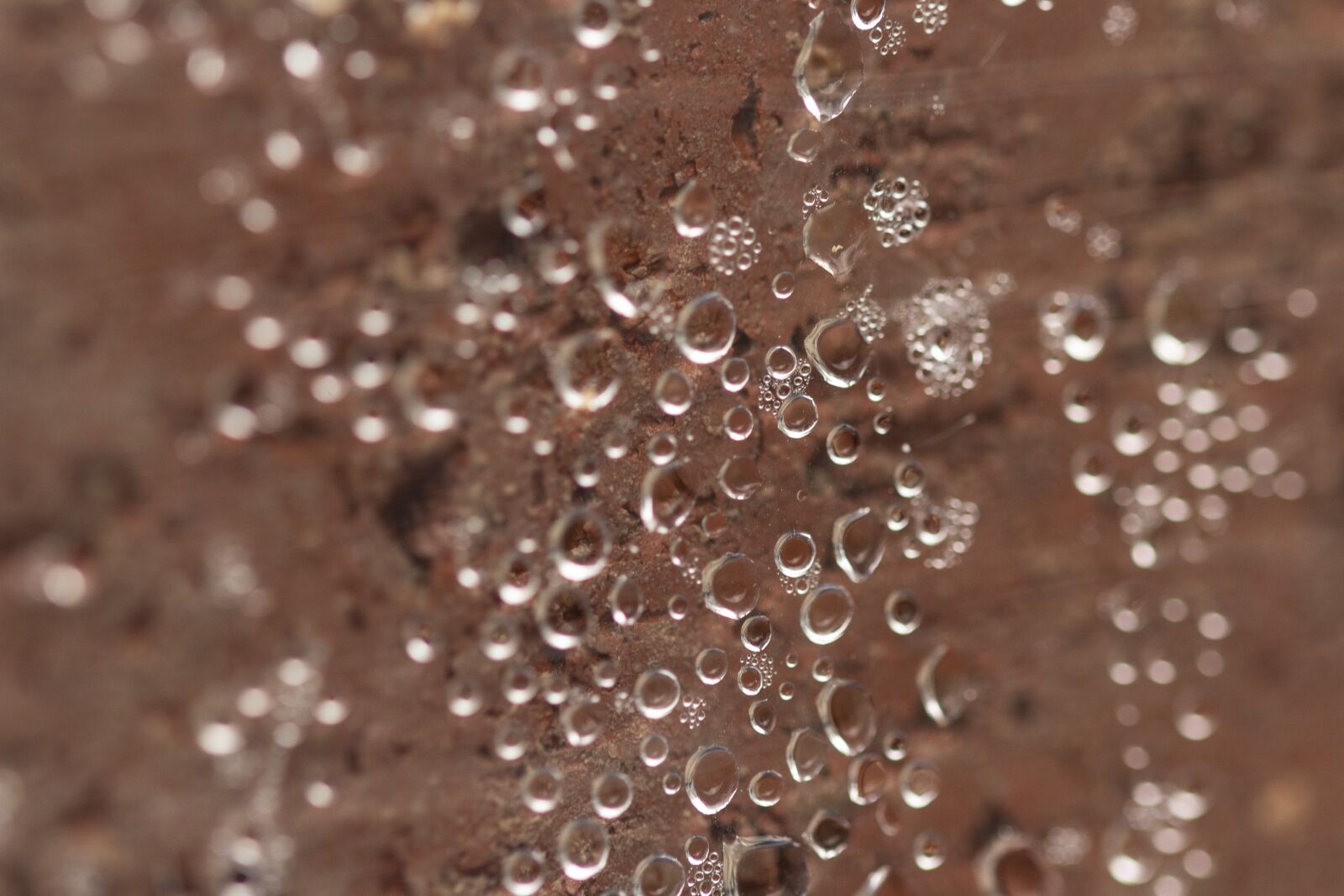 Canon EOS 1200D (EOS Rebel T5 / EOS Kiss X70 / EOS Hi) sample photo. Water, macro, photo photography