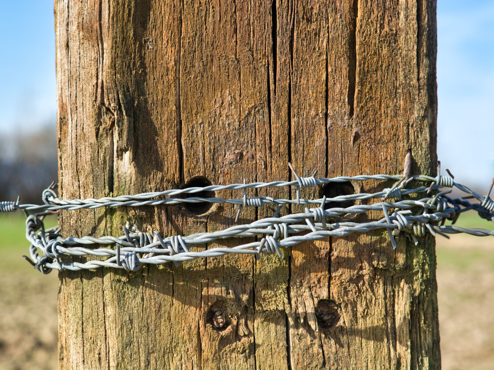 Nikon D7100 sample photo. Barbed wire, post, wooden photography