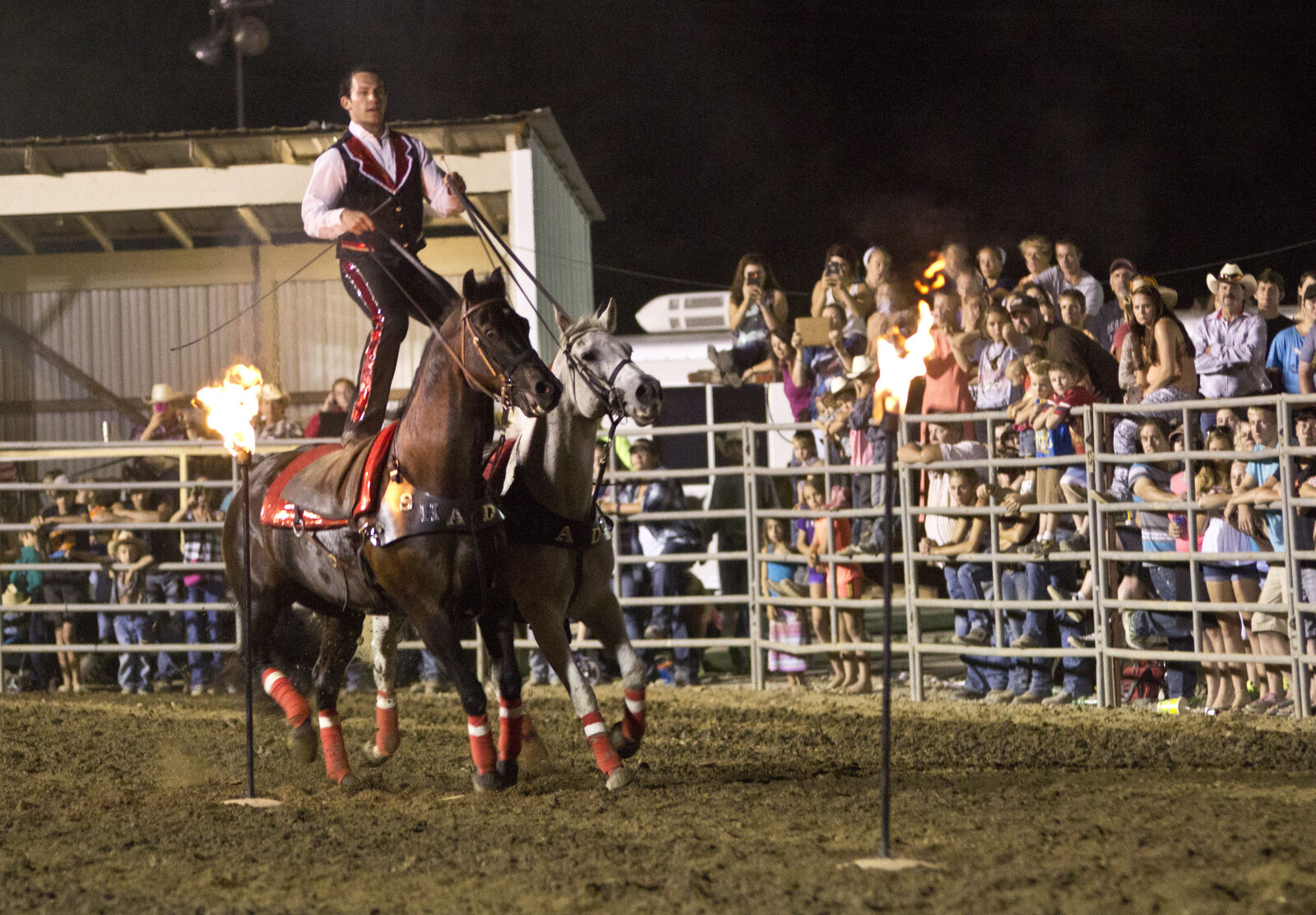 Canon EOS 600D (Rebel EOS T3i / EOS Kiss X5) sample photo. Equine, fire, horses, night photography