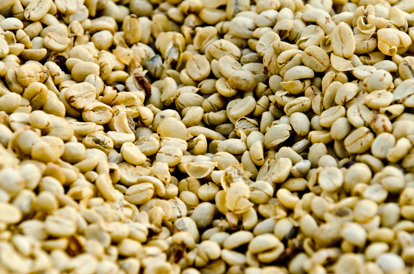 Nikon D7000 sample photo. Coffee, coffee drying, guatemala photography