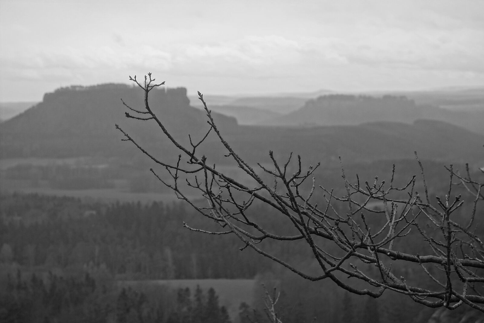 Sony Cyber-shot DSC-RX100 sample photo. Saxon switzerland, elbe sandstone photography