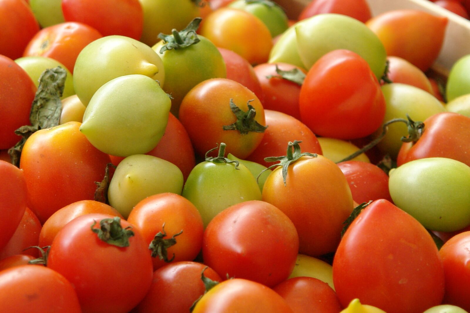 Sony DSC-R1 sample photo. Tomatoes, vegetable, food photography