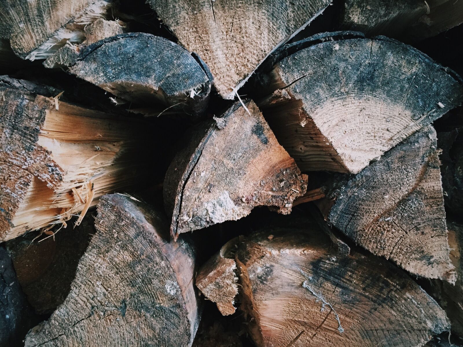 Apple iPhone 6 sample photo. Bark, cut, industry photography