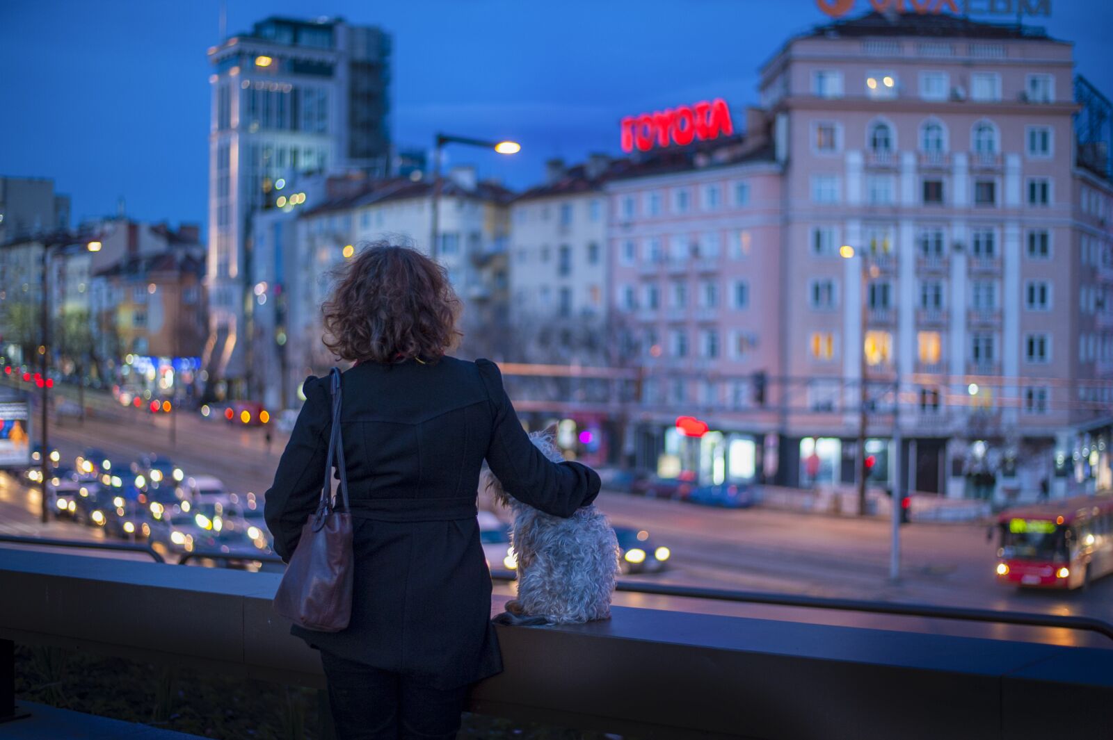 Nikon D700 sample photo. Woman, dog, street photography