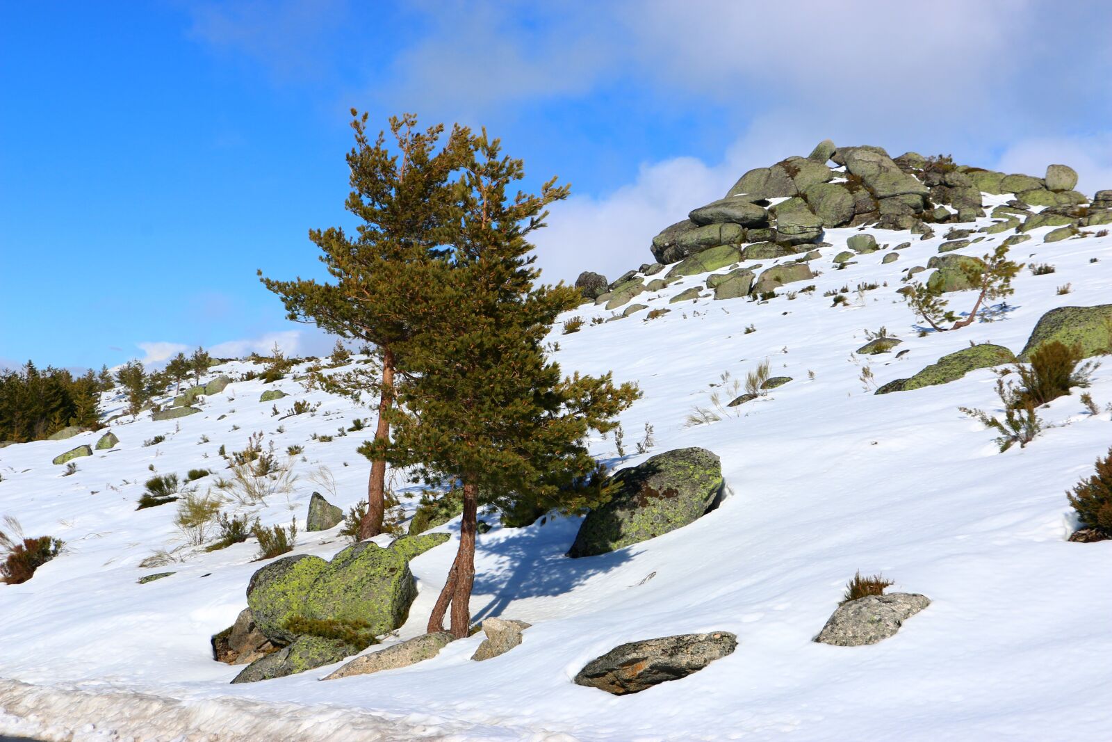 Canon EOS 70D sample photo. Serra da estrela, snow photography