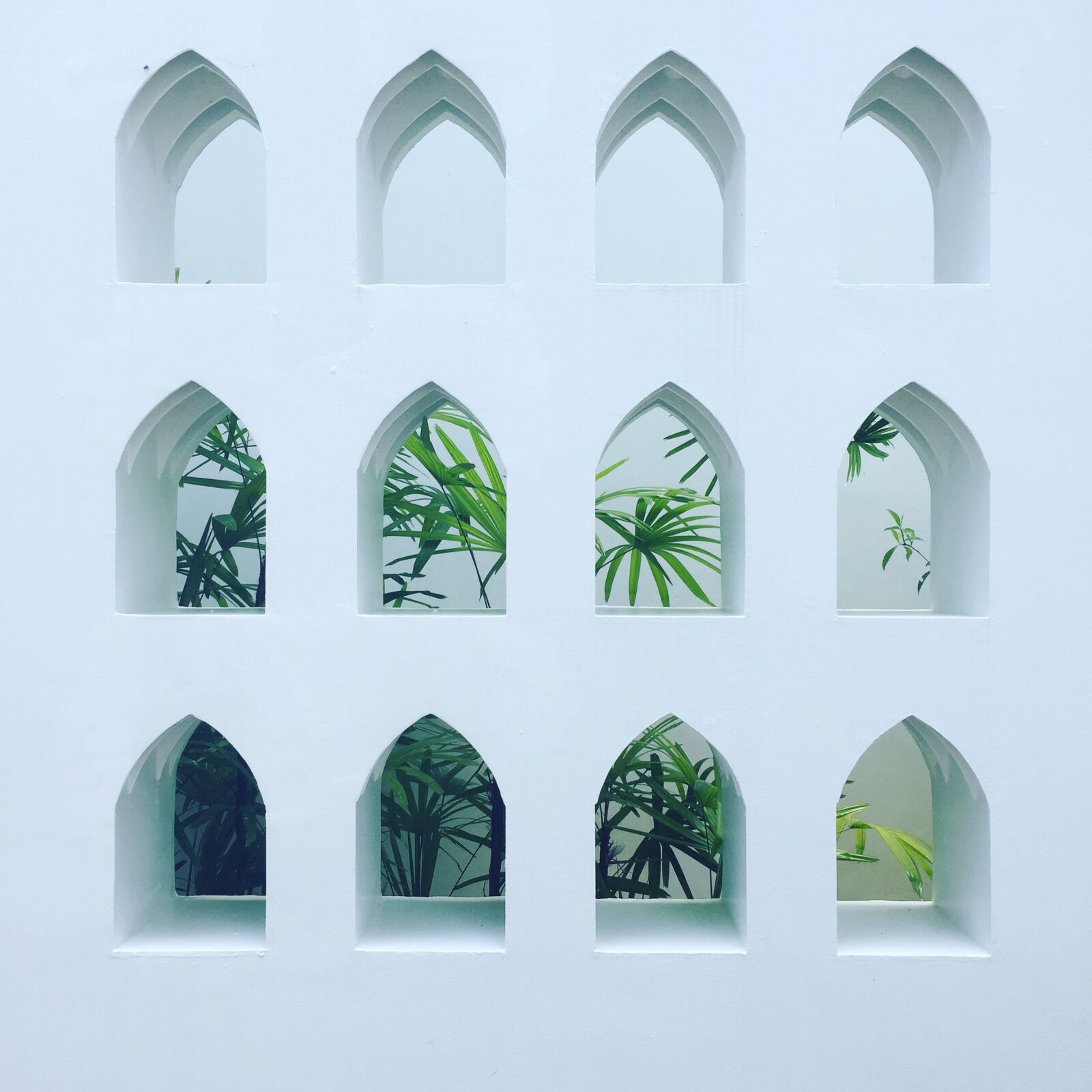 Apple iPhone 6 sample photo. Architecture, palms, oasis photography