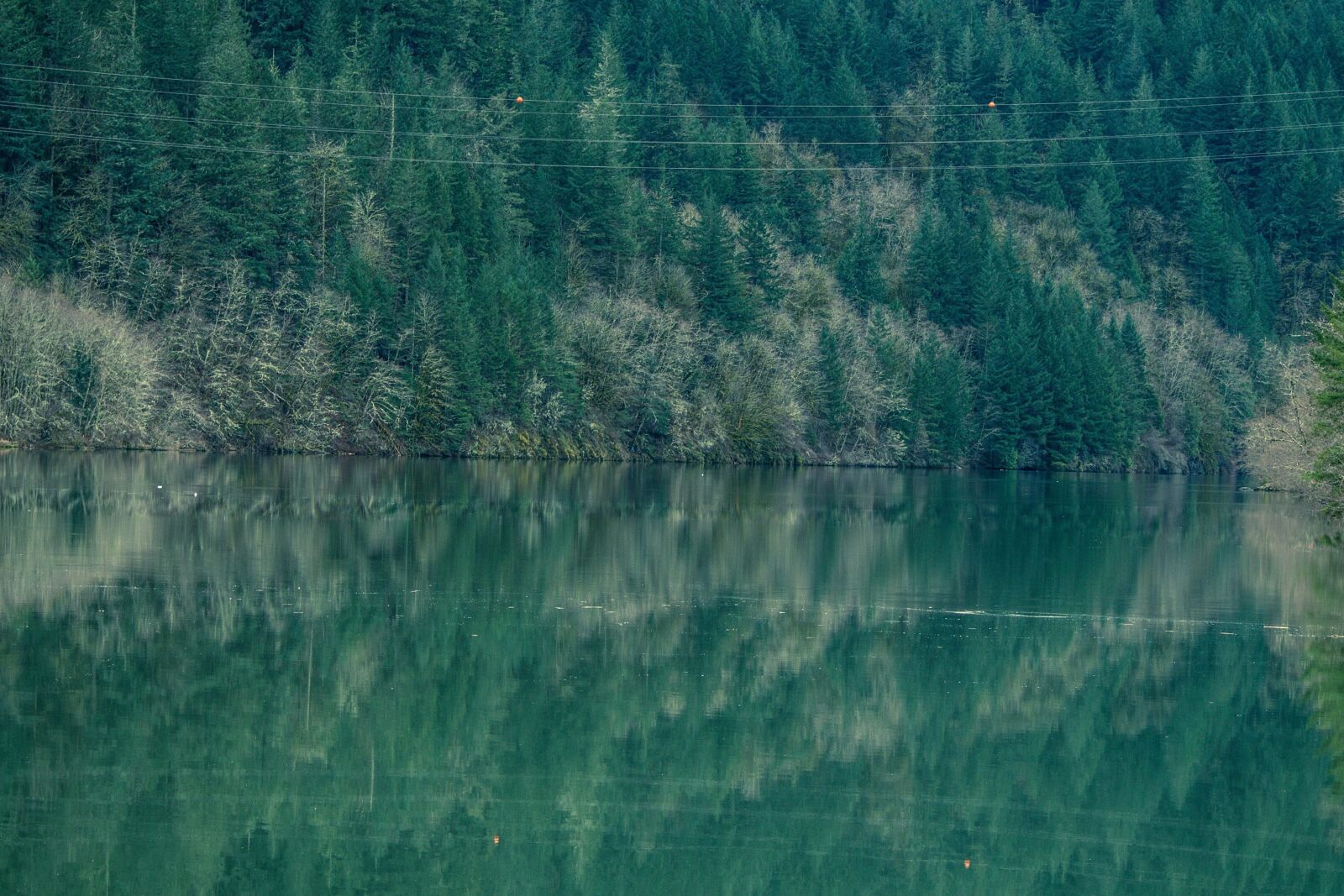 Nikon D5200 sample photo. Summer, river, water, wood photography